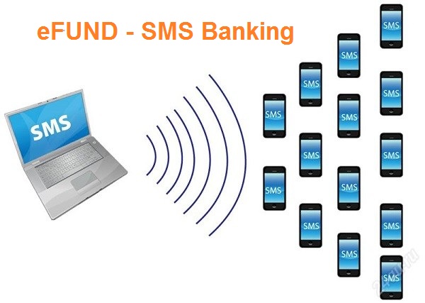 efund sms banking 3