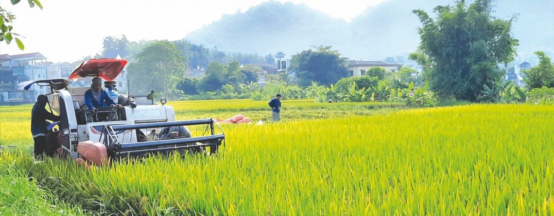 Co-opBank ngày càng khẳng định rõ vai trò là ngân hàng đầu mối của tất cả các QTDND